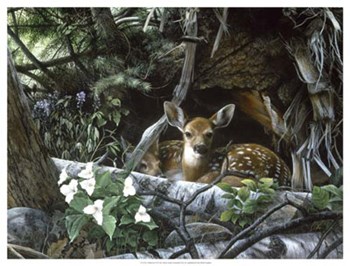 Undercover II by Kevin Daniel art print