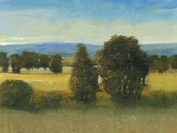 Verdant Meadow I by Timothy O&#39;Toole art print