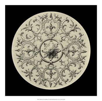 Black &amp; Tan Medallion II by Vision Studio art print