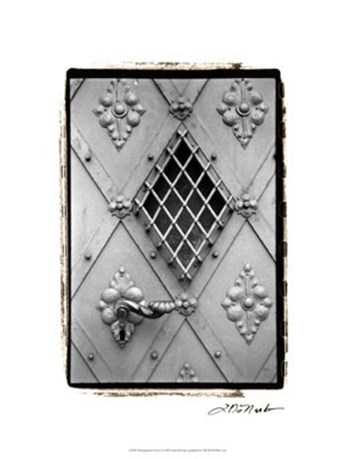 Distinguished Doors I by Laura Denardo art print