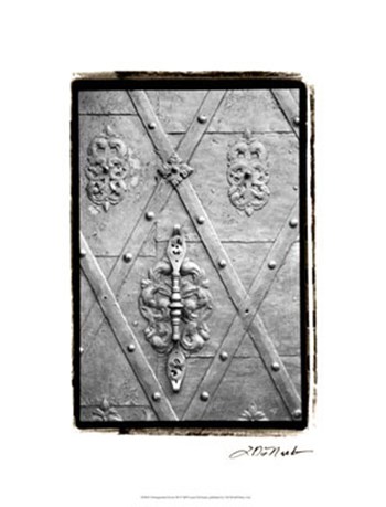 Distinguished Doors III by Laura Denardo art print