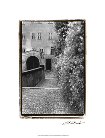 Passing through Prague II by Laura Denardo art print