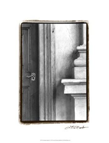 Enduring Qualities II by Laura Denardo art print
