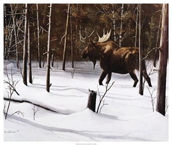Winter Forage by Kevin Daniel art print