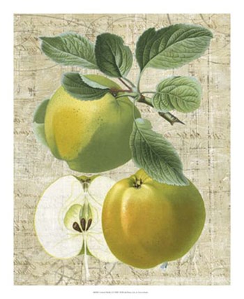 Orchard Medley I by Vision Studio art print