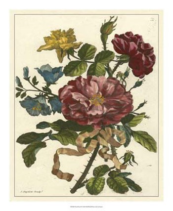 Floral Posy II by Giovanni Ferrari art print