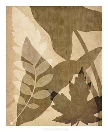 Pressed Leaf Assemblage I by Vision Studio art print