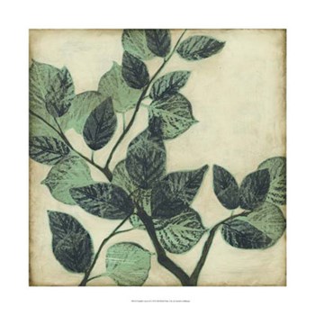 Graphic Leaves II by Jennifer Goldberger art print