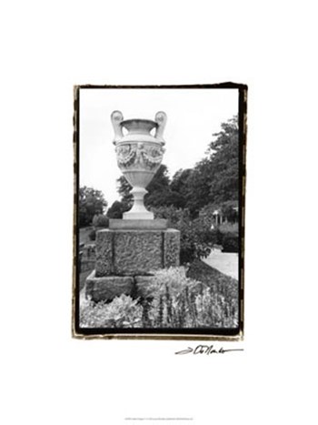 Garden Elegance V by Laura Denardo art print