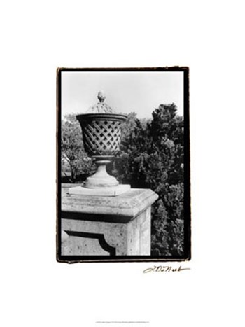 Garden Elegance VI by Laura Denardo art print