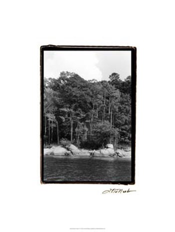 Serene Lake IV by Laura Denardo art print