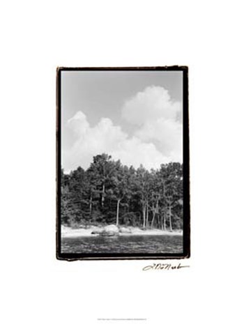 Serene Lake V by Laura Denardo art print