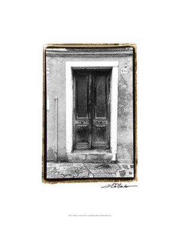The Doors of Venice II by Laura Denardo art print
