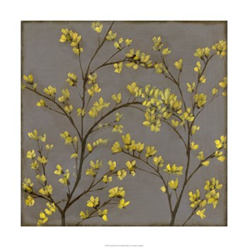 Forsythia II by Jennifer Goldberger art print