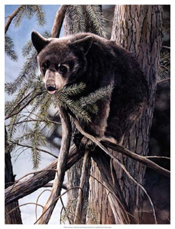 Out on a Limb by Kevin Daniel art print