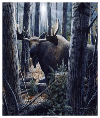 King of the Northwoods by Kevin Daniel art print