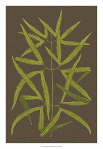 Ferns on Linen I by Vision Studio art print