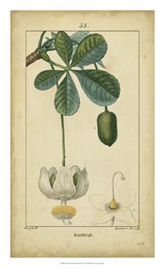 Vintage Turpin Botanical II by Pierre Jean Francois Turpin art print