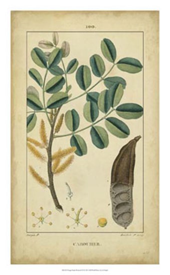Vintage Turpin Botanical VII by Pierre Jean Francois Turpin art print