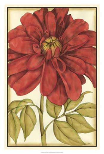 Ruby Blooms III by Jennifer Goldberger art print