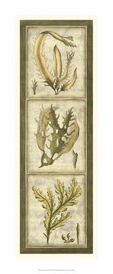 Exotic Seaweed Panel I by Nancy Slocum art print