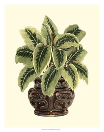 Lush Foliage in Urn I by Vision Studio art print