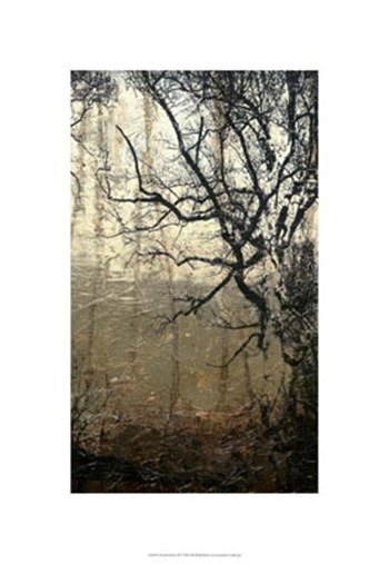 Wooded Solace III by Jennifer Goldberger art print