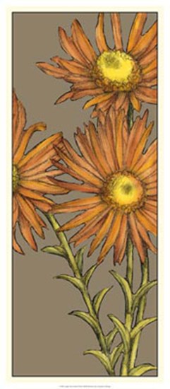 Graphic Flower Panel I by Jennifer Goldberger art print