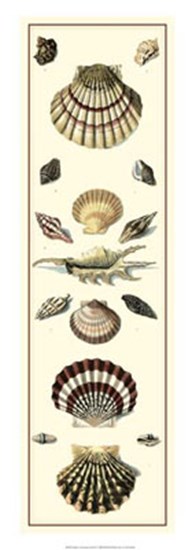 Studies in Symmetry Panel II by Vision Studio art print