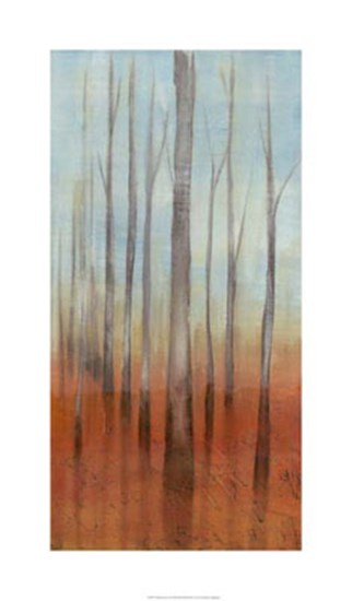 Birch Forest II by Jennifer Goldberger art print
