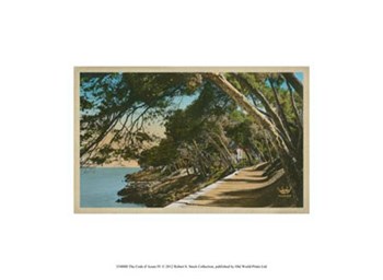 The Cote d&#39;Azur IV art print