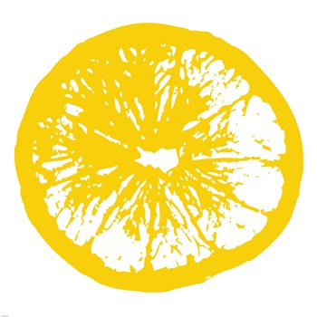 Yellow Orange Slice by Veruca Salt art print
