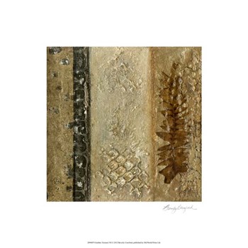 Earthen Textures VII by Beverly Crawford art print