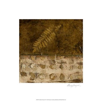 Earthen Textures IX by Beverly Crawford art print