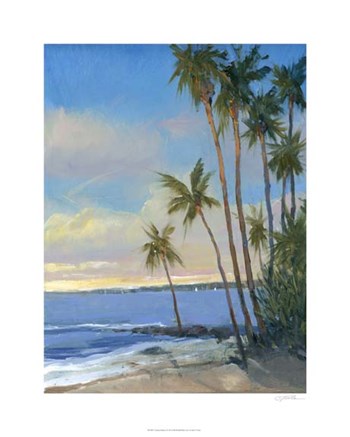 Tropical Breeze I by Timothy O&#39;Toole art print