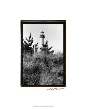 Cape May Afternoon I by Laura Denardo art print