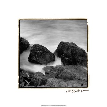 Incoming Tide II by Laura Denardo art print