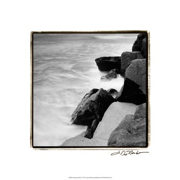 Incoming Tide IV by Laura Denardo art print