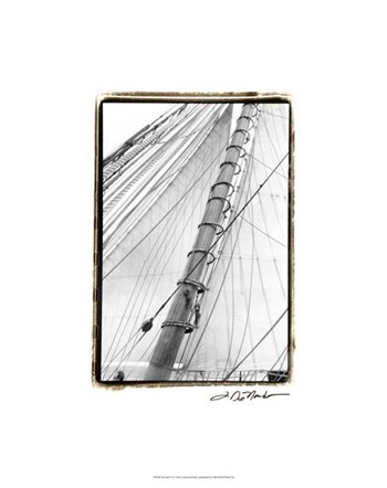 Set Sail VI by Laura Denardo art print