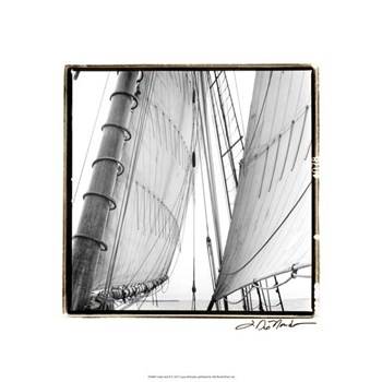 Under Sail II by Laura Denardo art print