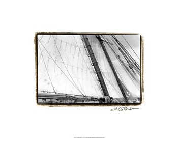 Under Sail III by Laura Denardo art print