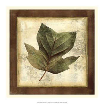 Rustic Leaves III - No Crackle by Vision Studio art print