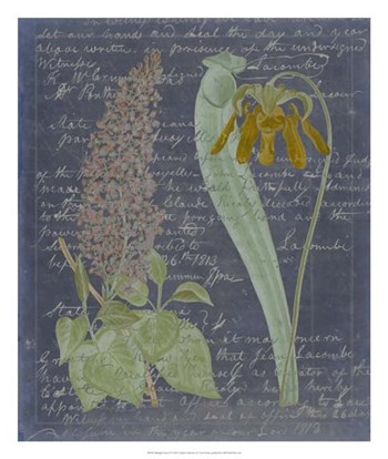 Midnight Sonnet IV by Vision Studio art print