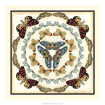 Butterfly Collector IV by Chariklia Zarris art print