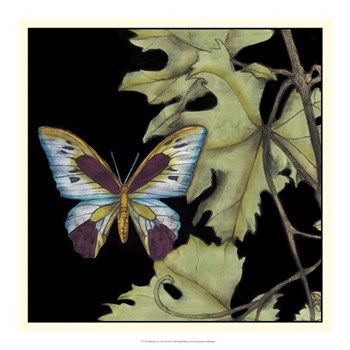 Butterfly on Vine I by Jennifer Goldberger art print