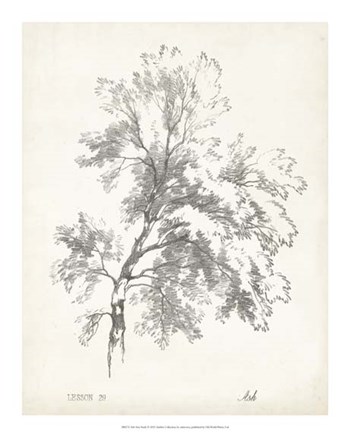 Ash Tree Study art print