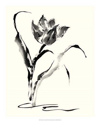 Studies in Ink - Tulip by Nan Rae art print