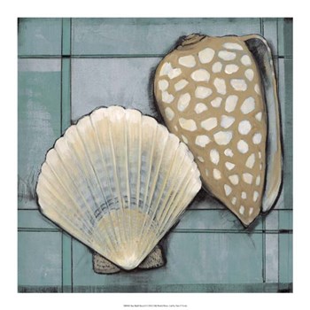 Seashell Sketch I by Timothy O&#39;Toole art print
