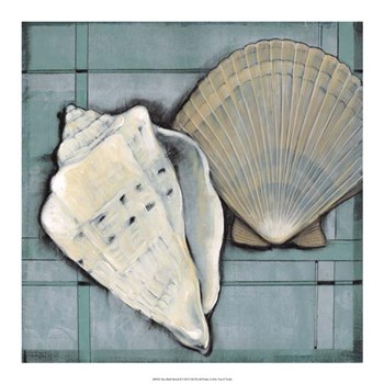 Seashell Sketch II by Timothy O&#39;Toole art print