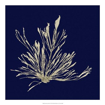 Seaweed on Navy III by Vision Studio art print
